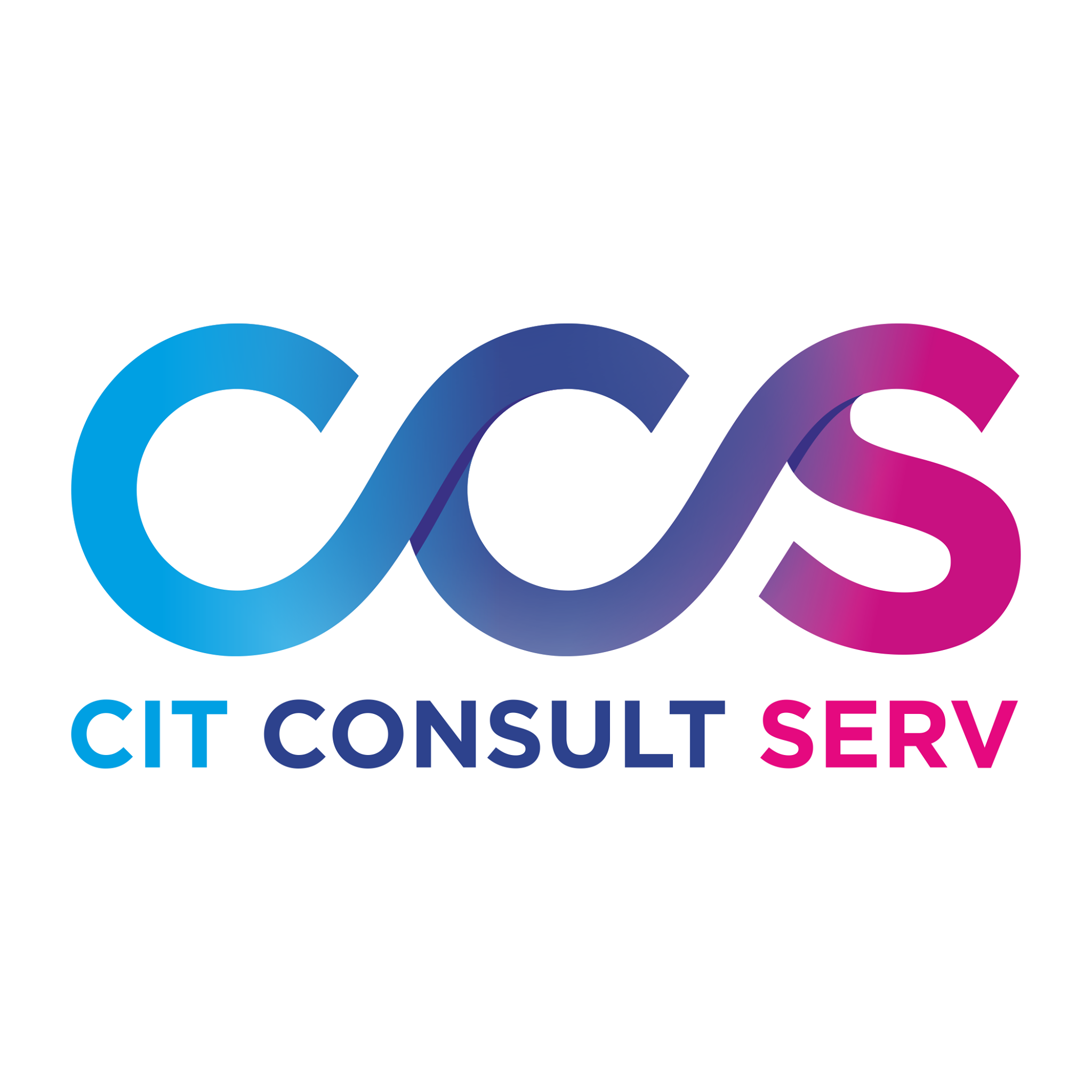 CIT Consult Serv